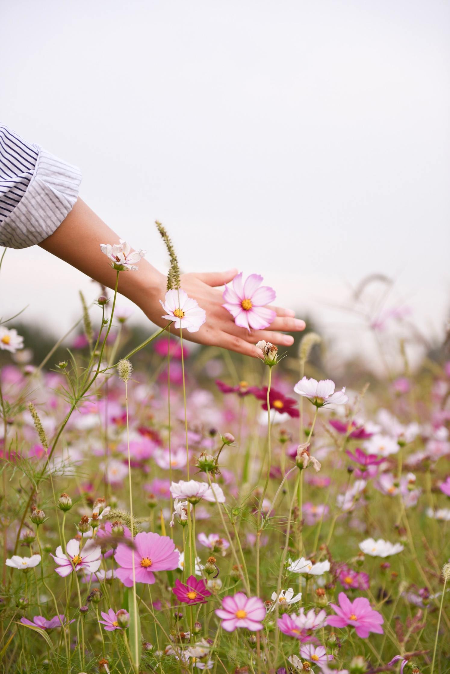 How to Use the Energy of Spring to Make Changes in Your Life